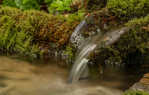 Seufzerquelle Quelle Kleiner Bach Unter Mittagskogel Und Ferlacher Spitze Große — Stockfoto