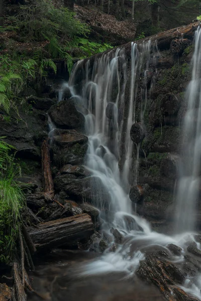 Cascade Près Kouty Nad Desnou Village Journée Été Dans Forêt — Photo