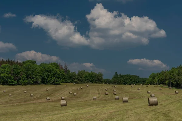 Campo Con Bola Heno Verano Caluroso Día Soleado Cerca Aldea — Foto de Stock