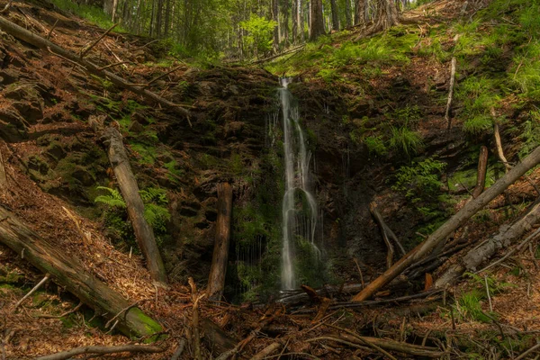 Cascade Près Kouty Nad Desnou Village Journée Été Dans Forêt — Photo