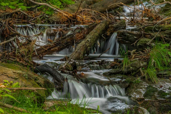 Malý Vodopád Obce Kouty Nad Desnou Letním Dni Lese — Stock fotografie