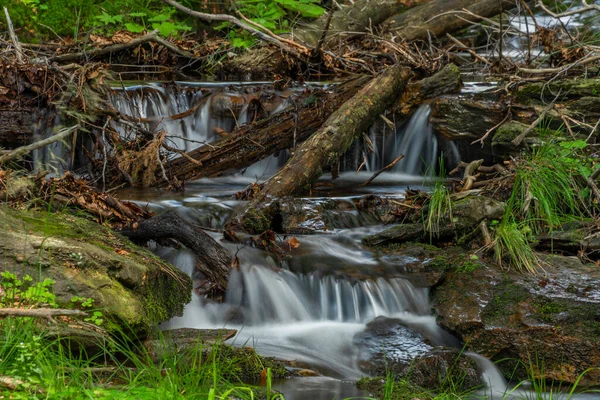 Mały Wodospad Pobliżu Wsi Kouty Nad Desnou Letni Dzień Lesie — Zdjęcie stockowe