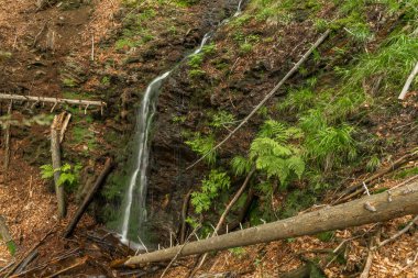 Yazın Kouty Nad Desnou köyünün yakınındaki şelalede.
