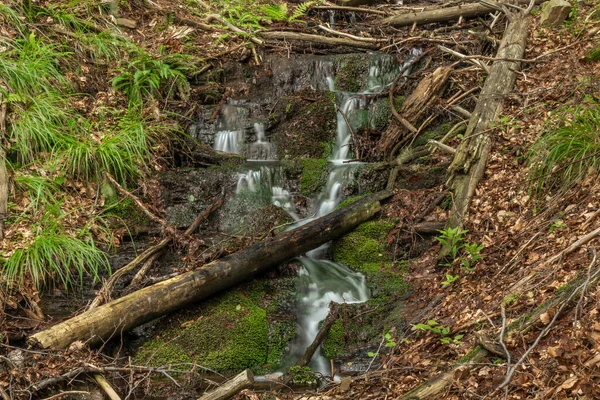 Pequena Cachoeira Perto Aldeia Kouty Nad Desnou Dia Verão Floresta — Fotografia de Stock