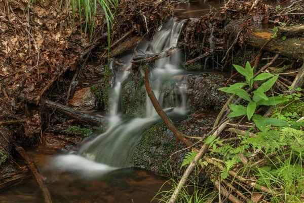 Kleiner Wasserfall Der Nähe Des Dorfes Kouty Nad Desnou Sommer — Stockfoto