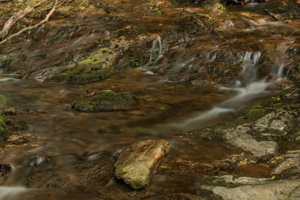 Pequeña Cascada Cerca Del Pueblo Kouty Nad Desnou Día Verano — Foto de Stock