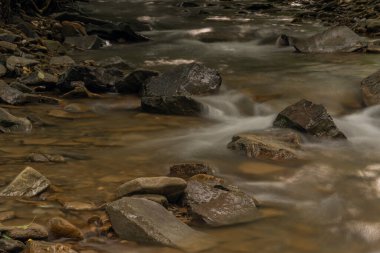 Ulusal Park 'taki Udava nehri Osadne köyü yakınlarında yaz bulutlu bir Monring.