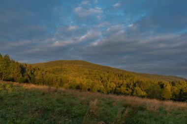 Yaz aylarında Przysup köyünün yakınında gün doğumu çayırda renkli bir sabah