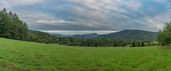 Alba Vicino Villaggio Przyslup Estate Mattina Nuvolosa Sul Prato — Foto Stock