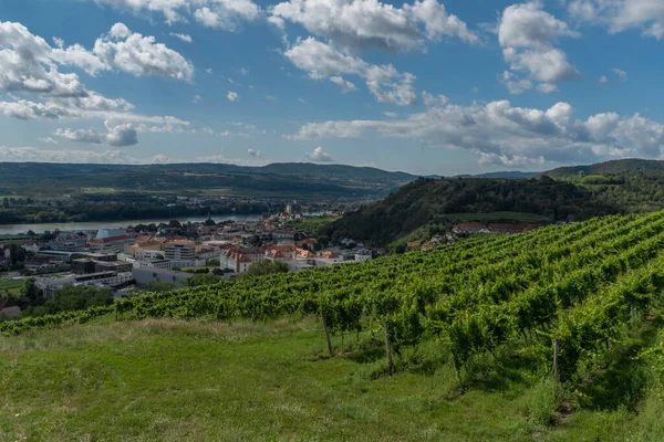 Viñedos Verdes Sobre Krems Der Donau Verano Soleado Día Caluroso — Foto de Stock