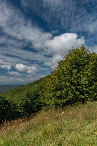 Vista Cume Parque Nacional Poloniny Dia Azul Nublado Céu Verão — Fotografia de Stock