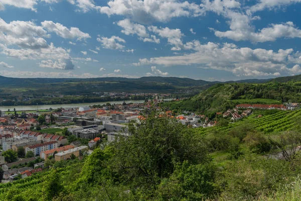 Zielone Winnice Nad Krems Der Donau Letni Słoneczny Gorący Dzień — Zdjęcie stockowe