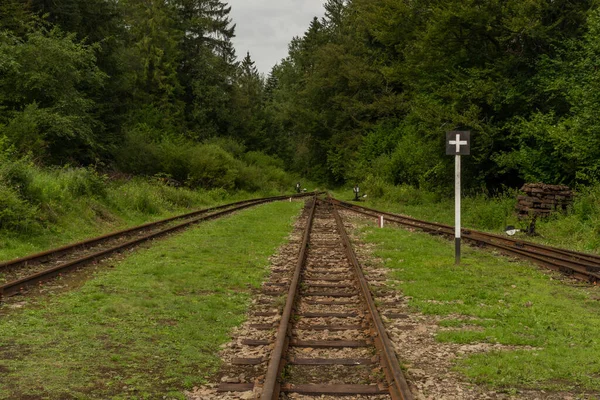 Στενό Εύρος Σιδηροδρόμου Στο Σταθμό Balnica Στην Πολωνία Βουνά Καλοκαίρι — Φωτογραφία Αρχείου