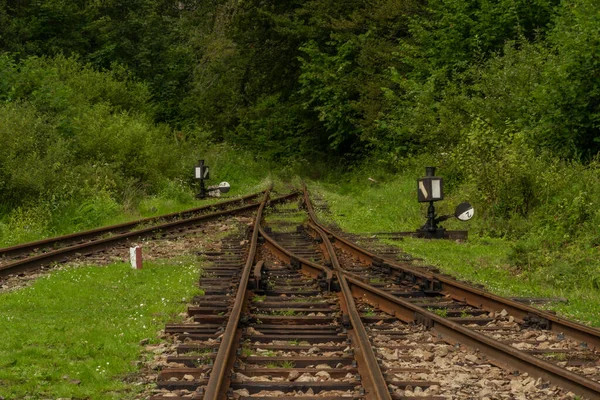 Polonya 'daki Balnica İstasyonu' nda yaz güneşli ve güneşli bir gecede dar bir demiryolu.