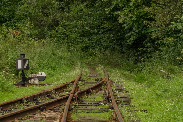 夏日明媚的夜晚 波兰山区巴尔尼卡车站的窄轨距铁路 — 图库照片