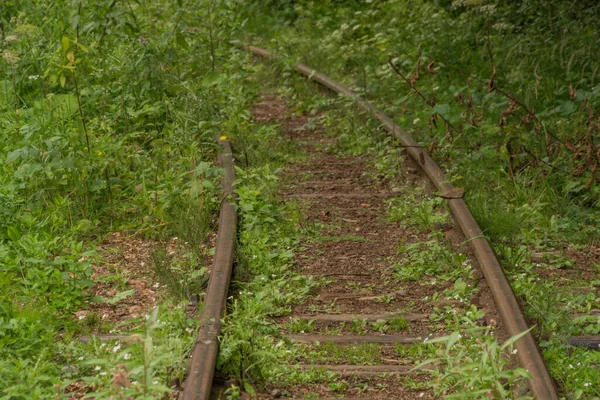 夏日明媚的夜晚 波兰山区巴尔尼卡车站的窄轨距铁路 — 图库照片