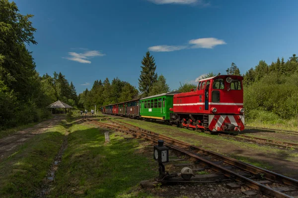 Ferrovia Bitola Estreita Estação Balnica Polônia Montanhas Verão Noite Cor — Fotografia de Stock