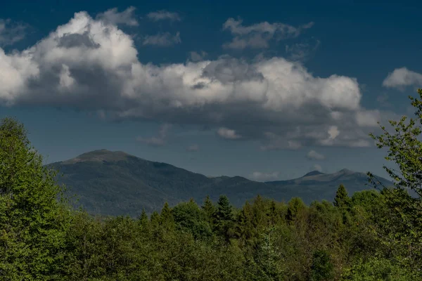 Velké Hory Čistý Les Polsku Blízkosti Města Cisna Modré Obloze — Stock fotografie