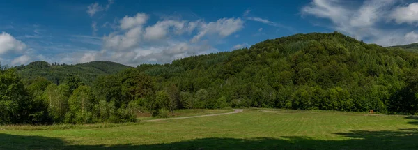 Prato Verde Foresta Vicino Villaggio Osadne Nella Valle Del Fiume — Foto Stock