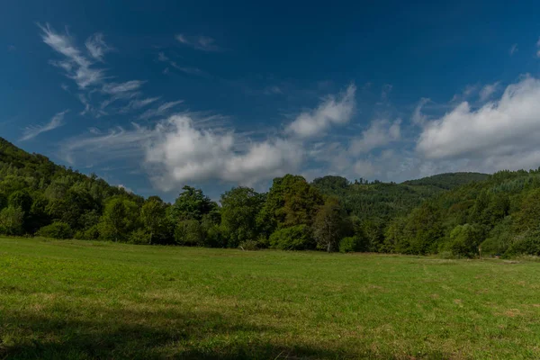 Zelená Louka Les Vesnice Osadne Údolí Řeky Udavy Letním Slunném — Stock fotografie