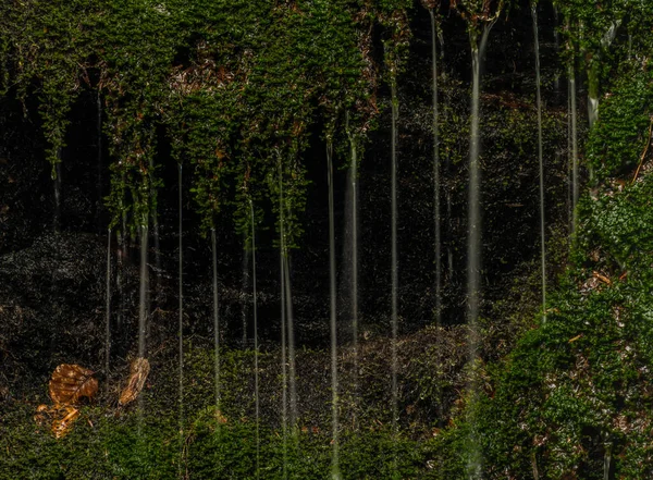 Wasserfall Der Nähe Des Dorfes Kouty Nad Desnou Sommer Wald — Stockfoto