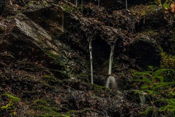 Wasserfall Der Nähe Des Dorfes Kouty Nad Desnou Sommer Wald — Stockfoto