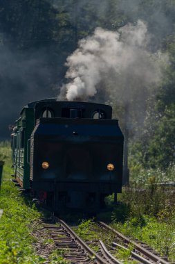 Polonya 'daki Majdan İstasyonu yakınlarında büyük ormanların yakınında buharlı tren ile dar ölçü.