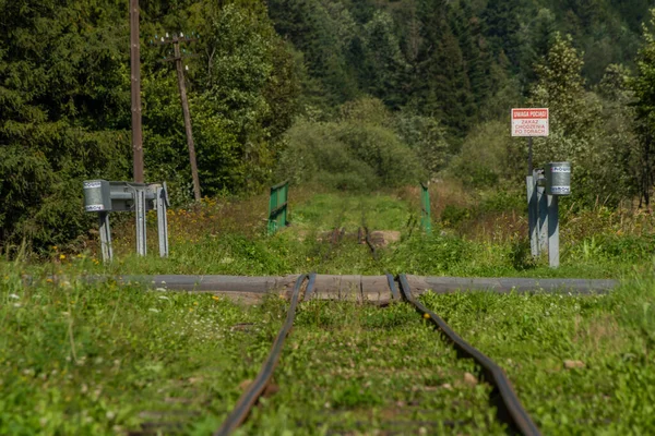 Keskeny Nyomtávú Vasút Közelében Majdan Állomás Lengyelországban Hegyek Nyáron Napos — Stock Fotó