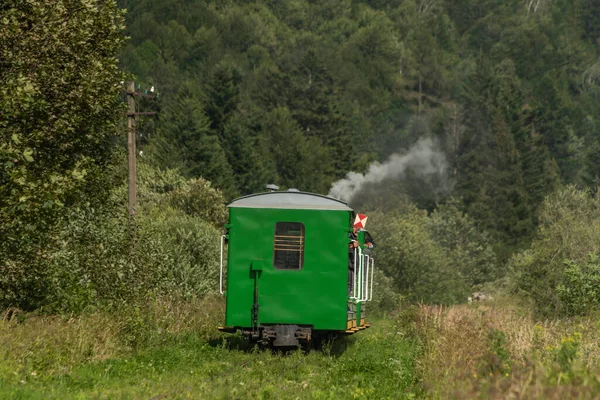 ポーランドのマダン駅近くの大きな森の近くに蒸気機関車と狭軌鉄道 — ストック写真