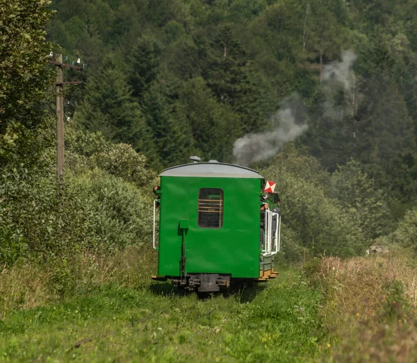 波兰Majdan车站附近的大森林附近有蒸汽火车的窄轨铁路 — 图库照片