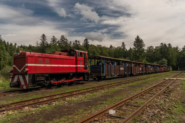 Ferrovia Bitola Estreita Estação Balnica Polônia Montanhas Verão Noite Cor — Fotografia de Stock