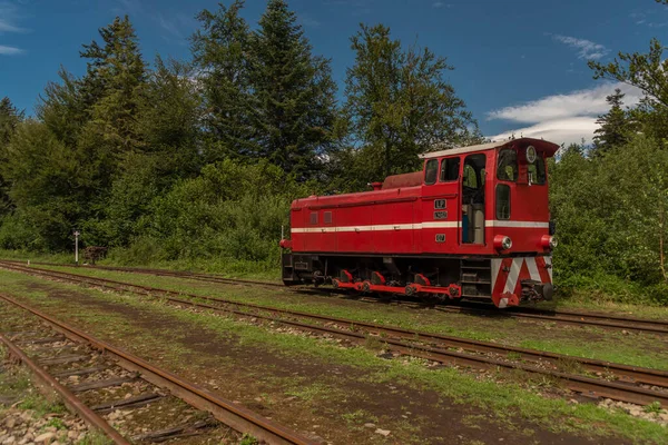 Keskeny Nyomtávú Vasút Balnica Állomás Lengyelországban Hegyek Nyáron Napos Színes — Stock Fotó