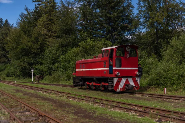 Ferrocarril Vía Estrecha Estación Balnica Polonia Montañas Verano Noche Color —  Fotos de Stock