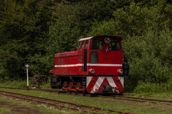 Smal Spårvidd Järnväg Balnica Station Polen Bergen Sommar Solig Färg — Stockfoto