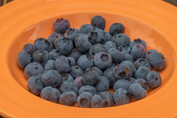 Blue Bilberry Canada Orange Plate Brown Wooden Table — Stock Photo, Image