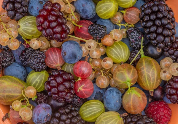 Fruta Jardín Color Mixto Mesa Marrón Madera Plato Piedra Naranja — Foto de Stock