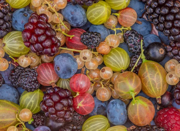 Fruta Jardín Color Mixto Mesa Marrón Madera Plato Piedra Naranja — Foto de Stock