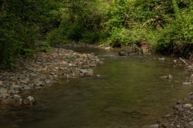 Ulusal Park 'taki Udava nehri Osadne köyü yakınlarında yaz bulutlu bir Monring.