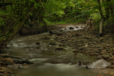 Ulusal Park 'taki Udava nehri Osadne köyü yakınlarında yaz bulutlu bir Monring.