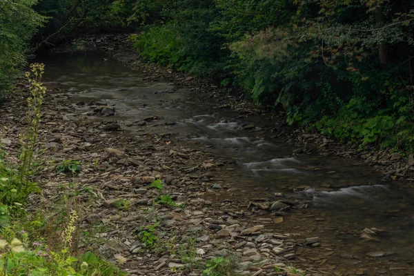 Río Udava Parque Nacional Poloniny Verano Monring Nublado Cerca Del —  Fotos de Stock