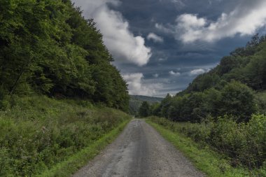 Yeşil ormanlar ve Slovakya yolu Polonya sınırı yaz bulutlu sabahlarda milli park poloniyesi yakınlarında