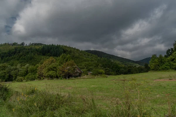 Zelené Lesy Silnice Slovensko Polská Hranice Národního Parku Poloniny Letním — Stock fotografie