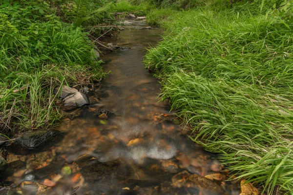 Zborovsky Creek Flowing Influence Malse River Autumn Color Day — Stock Photo, Image