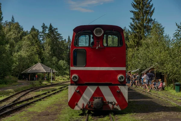 夏の日当たりの良い色の日にポーランドの山のバルニカ駅で狭軌鉄道 — ストック写真