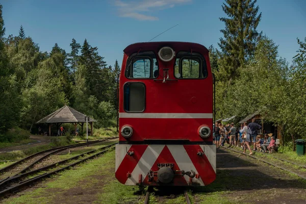 Schmalspurbahn Bahnhof Balnica Den Polnischen Bergen Sommer Sonniger Farbtag — Stockfoto