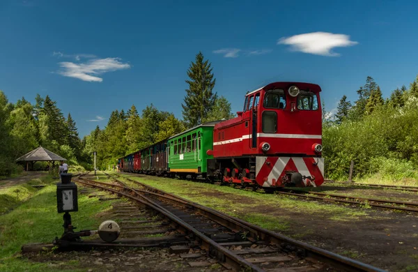 夏の日当たりの良い色の日にポーランドの山のバルニカ駅で狭軌鉄道 — ストック写真