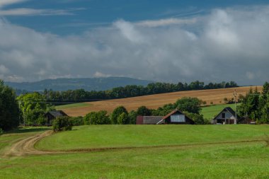 Green meadow and fields with old rural buildings in Roprachtice CZ 08 31 2025