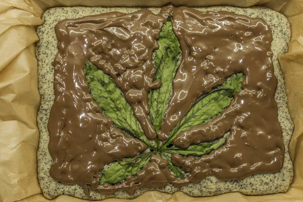 Cuisson De Gateau De Graines De Pavot A La Marijuana Avec Glacage Au Chocolat Et Aux Fruits Roses Brownie Medicamenteux Stock Photo Cuisson De Gateau De Graines De Pavot A La Marijuana Avec Glacage Au Chocolat Et Aux Fruits Roses Brownie Medicamenteux Stock Photo