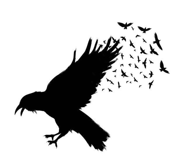 Raven Flying Black Raven Isolated White Background Hand Drawn Crow — Stock Vector