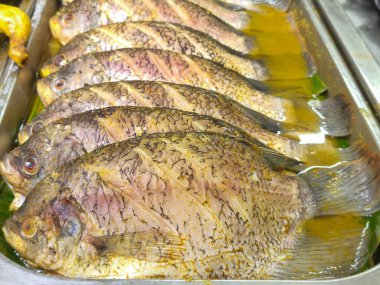 Bir sıra baharatlı çiğ balık, muhtemelen Tilapia, tepside sunulmuştu. Görüntü, taze deniz ürünleri, yemek hazırlama, piyasa gösterileri ve Asya mutfağı kavramları için harika..
